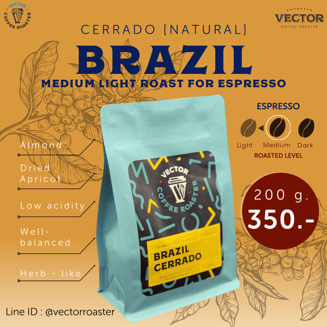 Brazil Cerrado