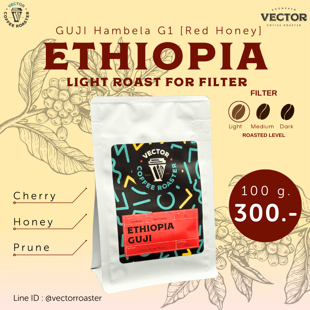 Ethiopia GUJI Hambela G1 [Red Honey] (light for filter)