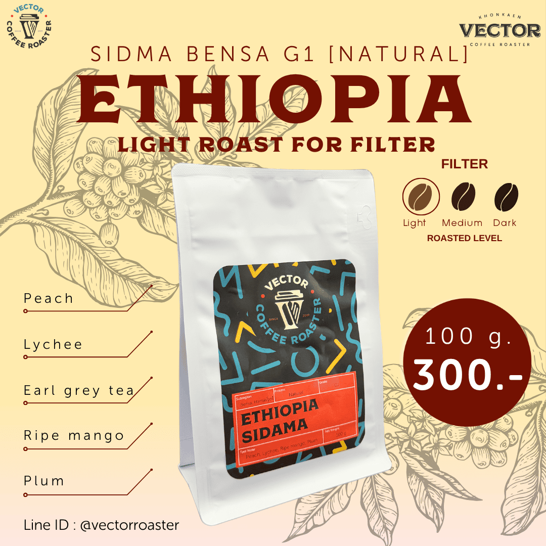 Ethiopia sidama benza hamasho G1 (light for espresso)