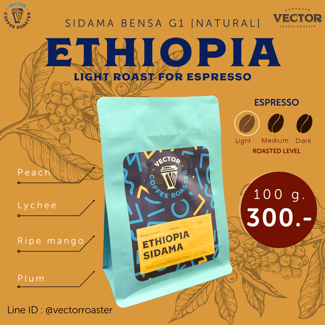 Ethiopia sidama benza hamasho G1 (light for espresso)