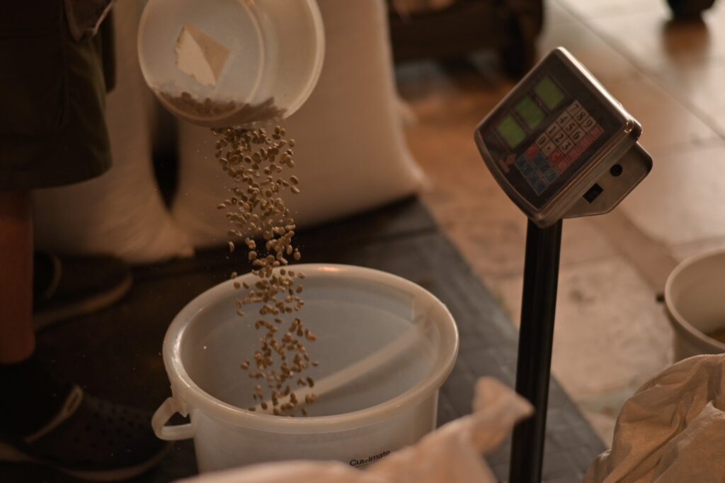 greencoffee