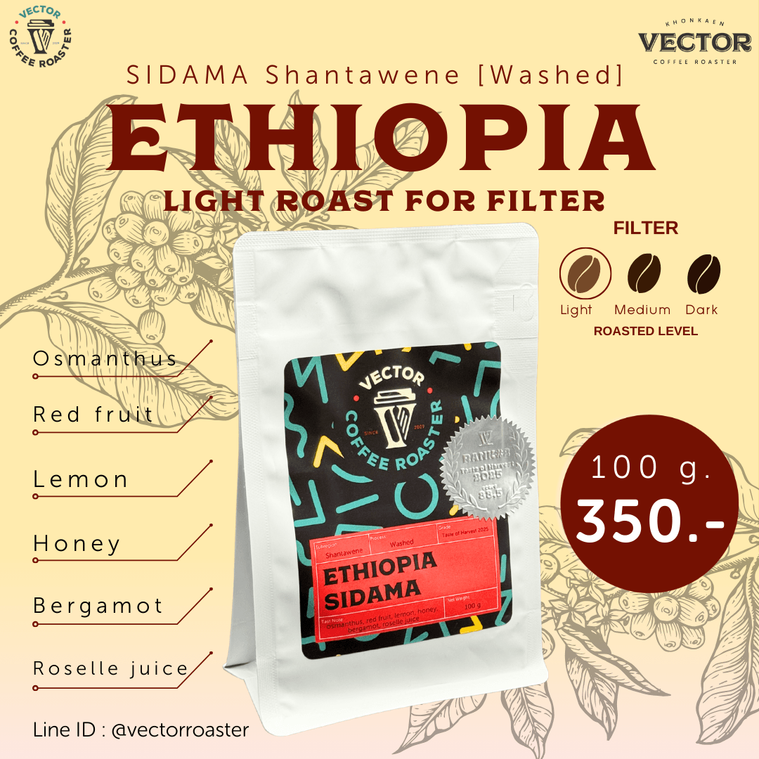 Ethiopia SIDAMA Shantawene [Washed] (light for filter)