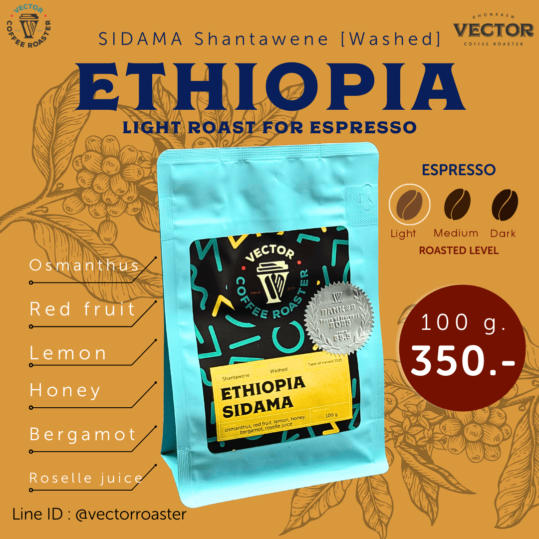 Ethiopia SIDAMA Shantawene [Washed] (light for espresso)